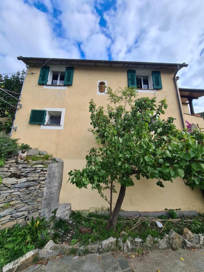 Castrusso Il Frantoio Di Rapallo By Portofinovacanze Exterior photo